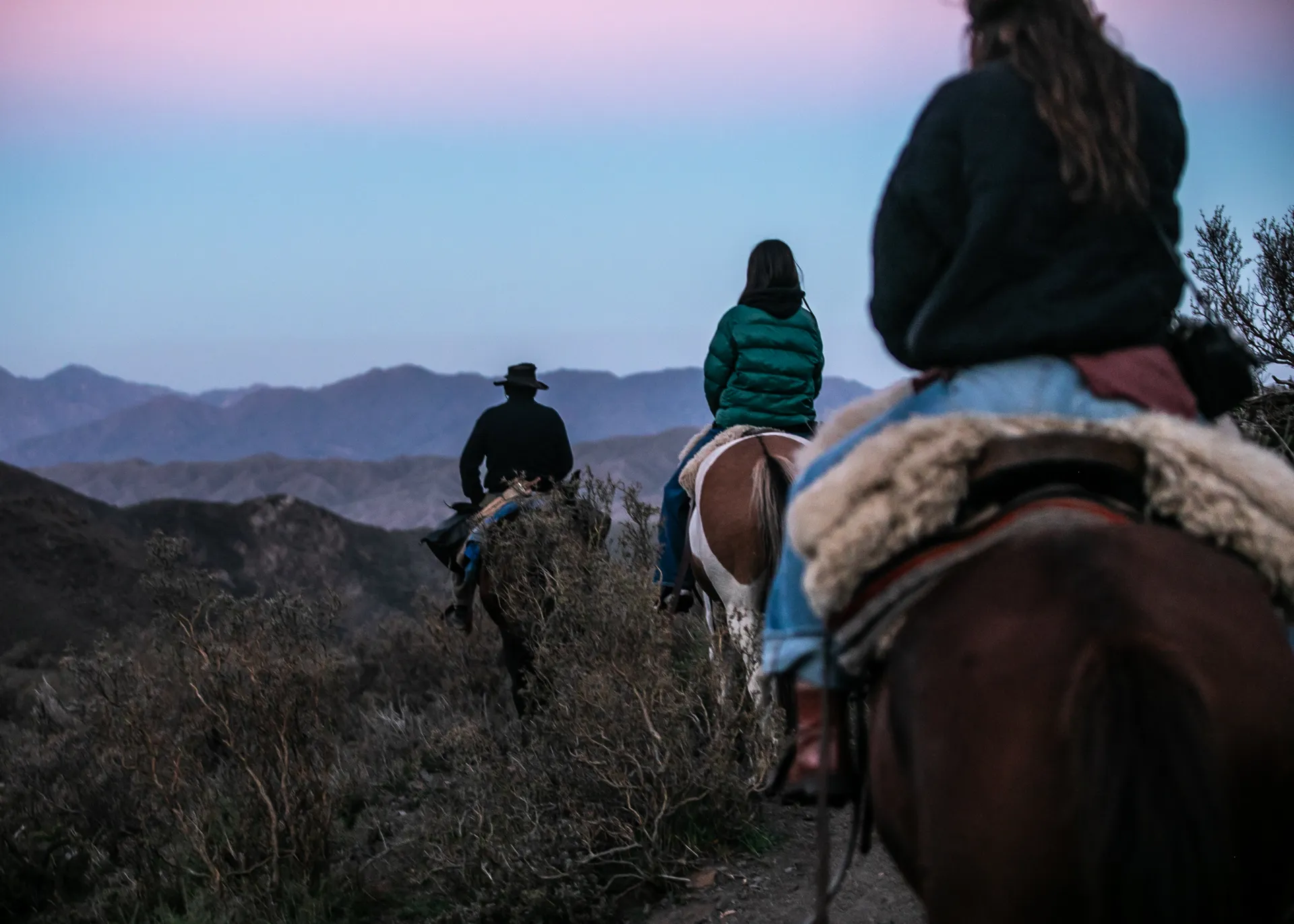 Horseback riding at sunset in the Andes Horseback riding at sunset in the Andes
