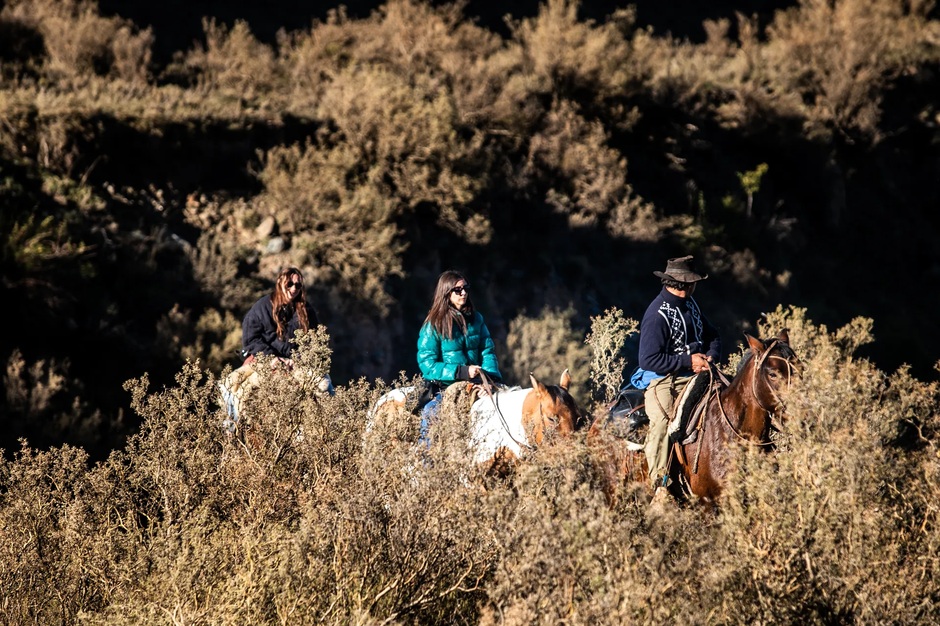 Horseback riding at sunset in the Andes Horseback riding at sunset in the Andes