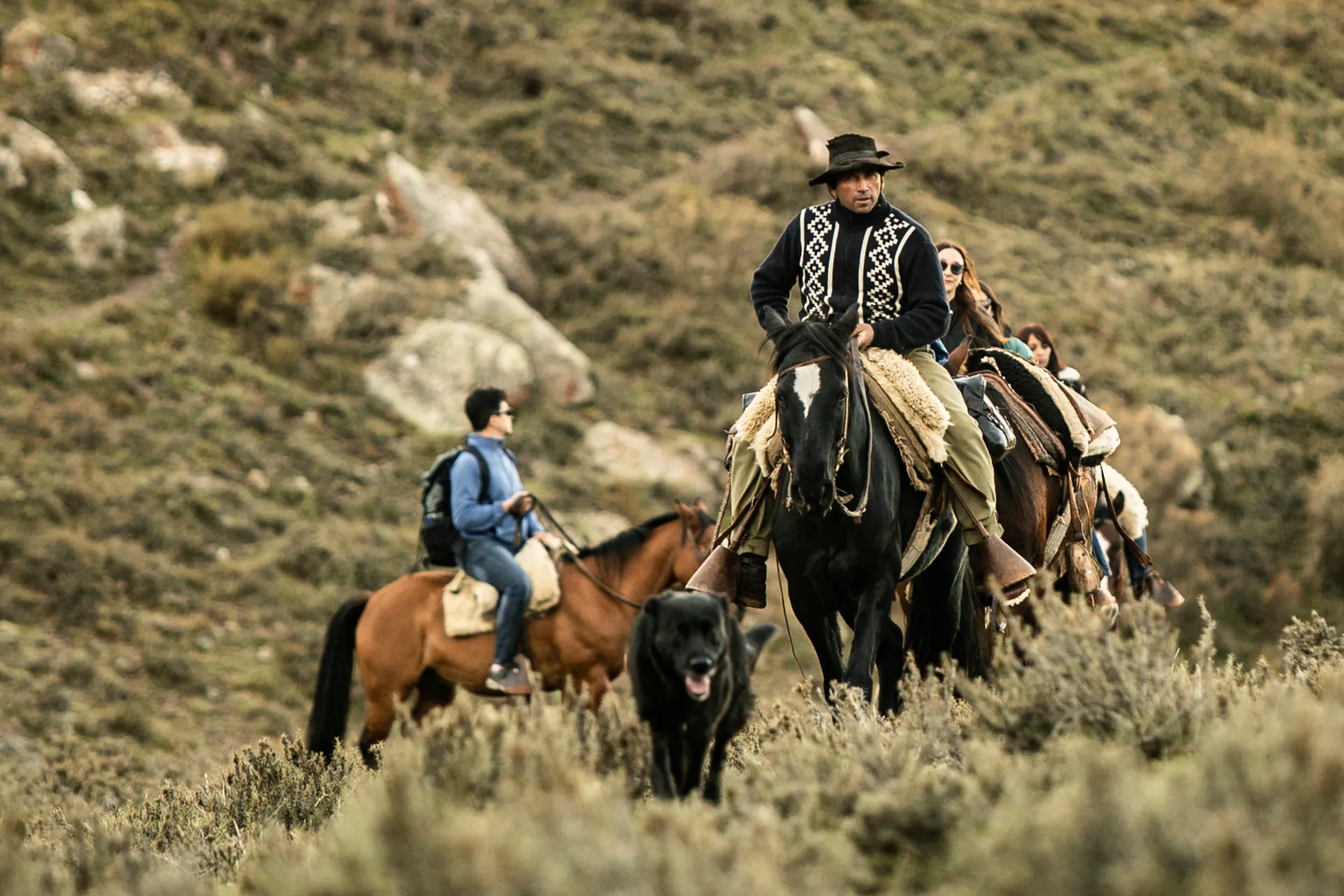 Horseback riding at sunset in the Andes Horseback riding at sunset in the Andes